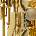 52 Axos Alto Saxophone